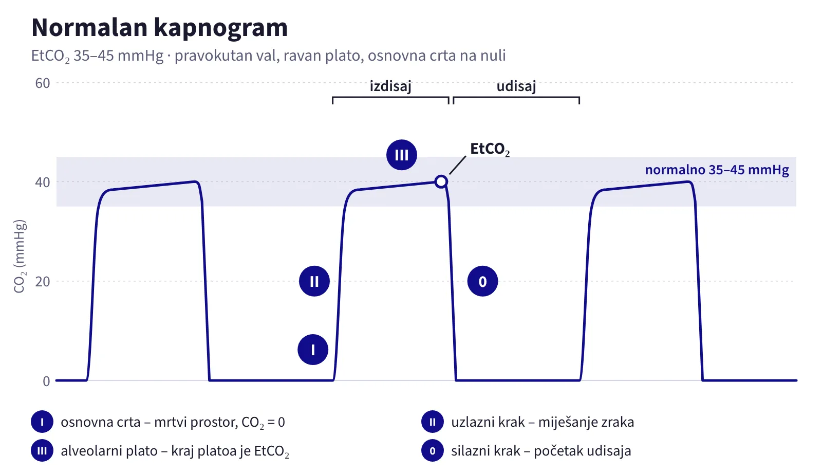 Normalan kapnogram: osnovna crta na nuli (faza I), strmi uzlazni krak (faza II), ravan alveolarni plato (faza III) s EtCO₂ oko 40 mmHg na kraju platoa i nagli silazni krak na početku udisaja.