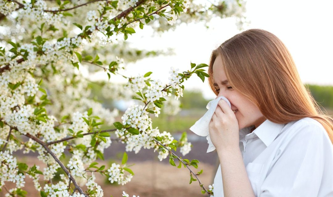 Alergija, pretjerana reakcija imunološkog sustava